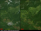 Brésil, Rondonia, Déforestation 2001 - 2005