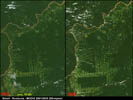 Brésil, Rondonia, Déforestation 2001 - 2005